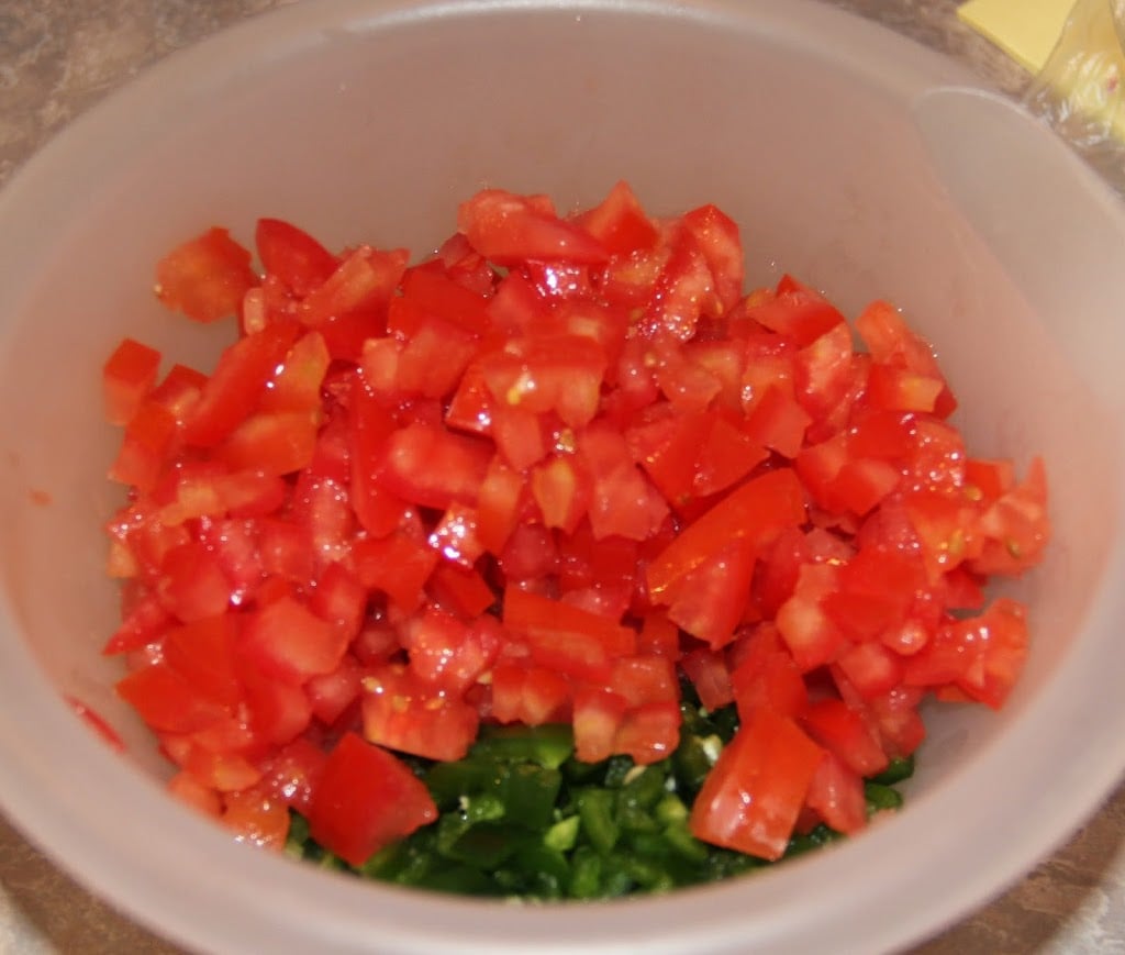 Pico de Gallo & Guacamole - An easy and delicious Pico de Gallo appetizer recipe perfect for dipping! So many fresh ingredients and so good for you, too!