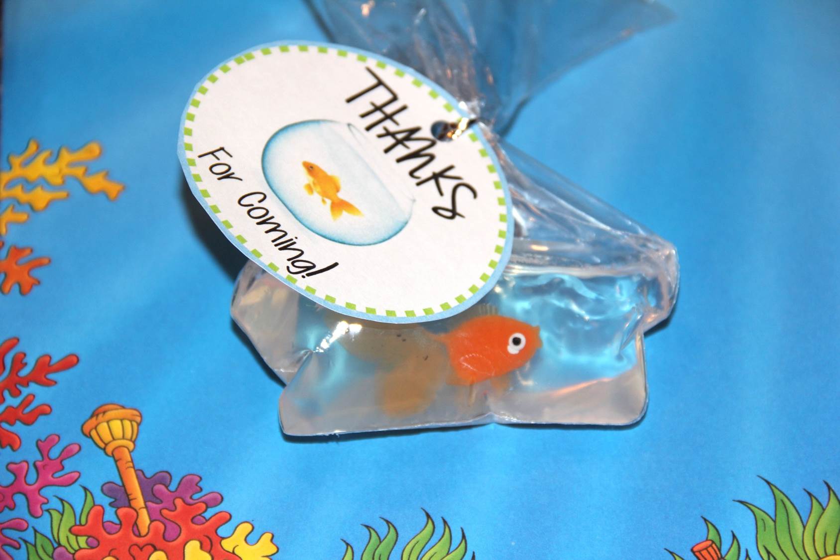 goldfish in a bag soap