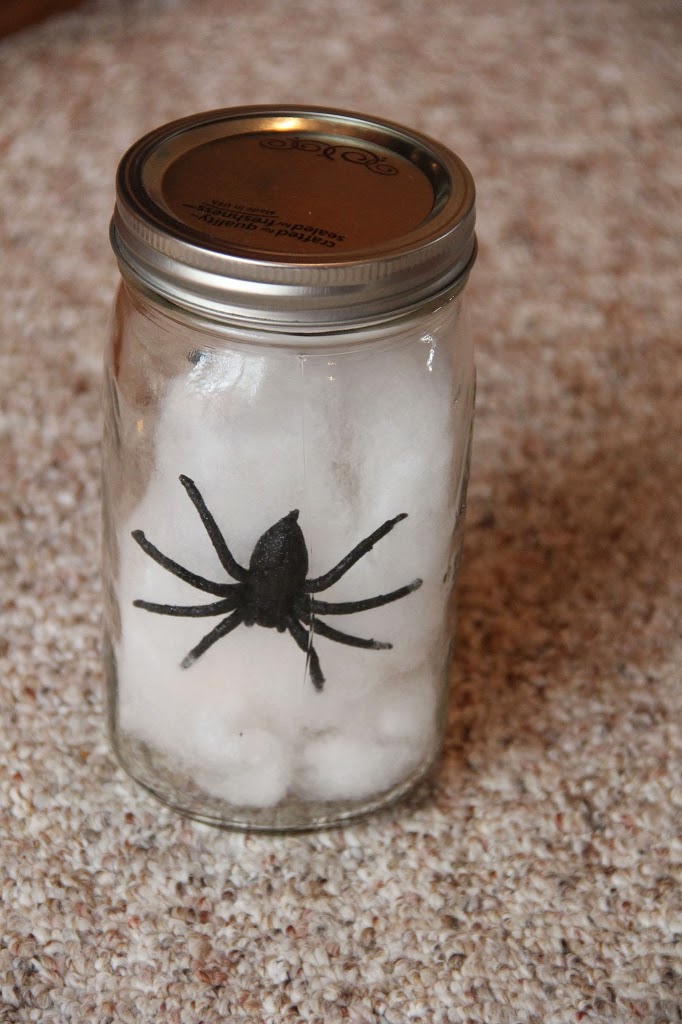 Spider in Jar