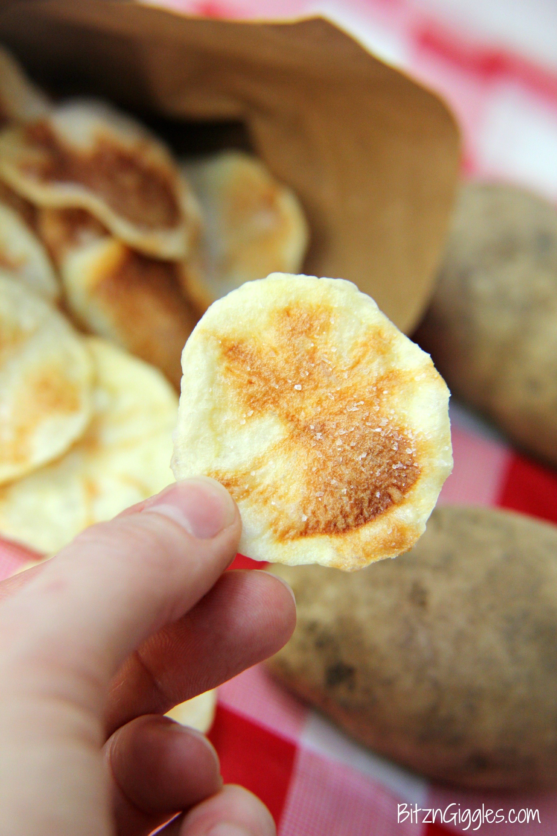 Salt and Vinegar Potato Chips - Bitz & Giggles