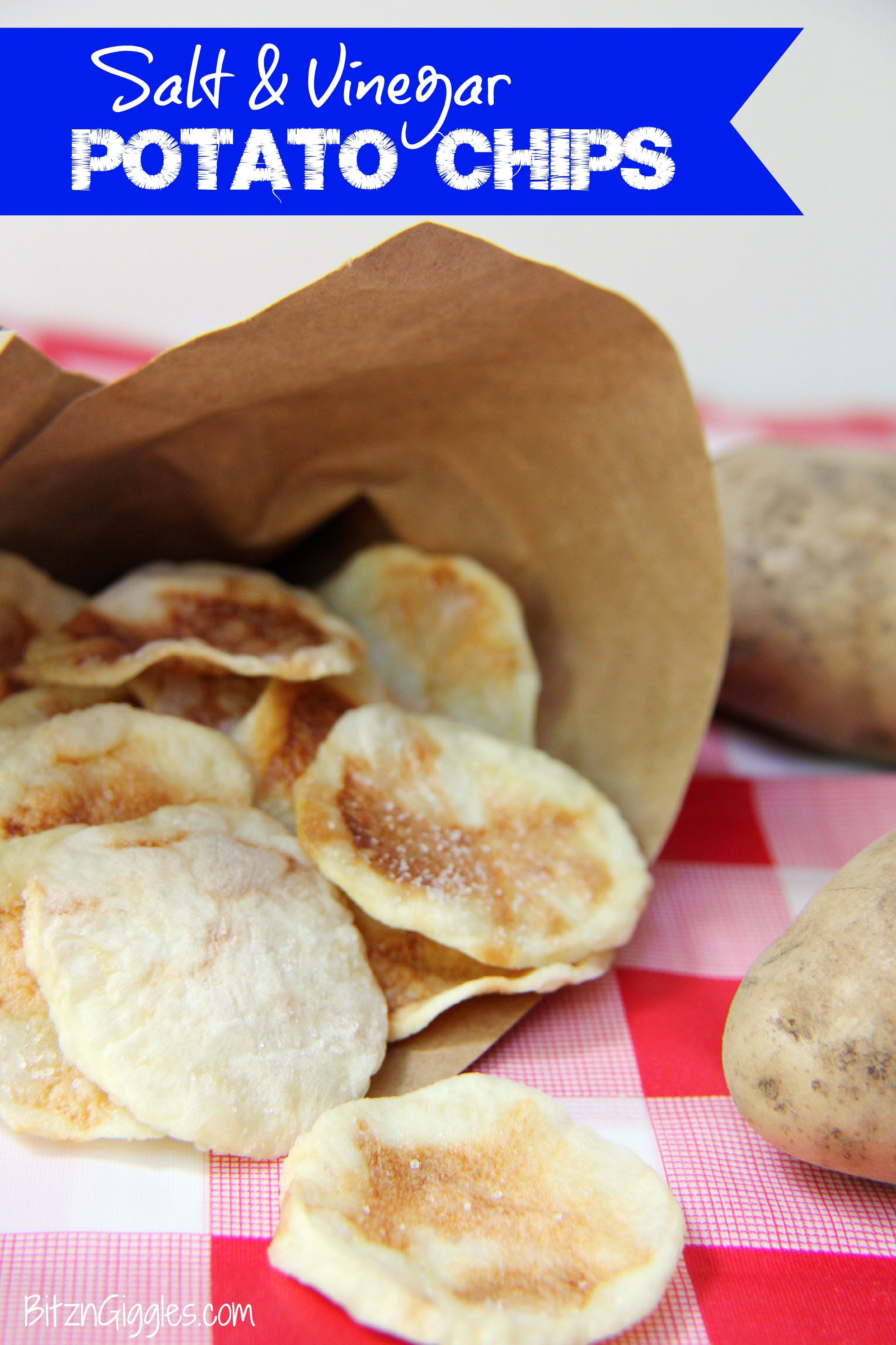 Salt and Vinegar Potato Chips - Bitz & Giggles