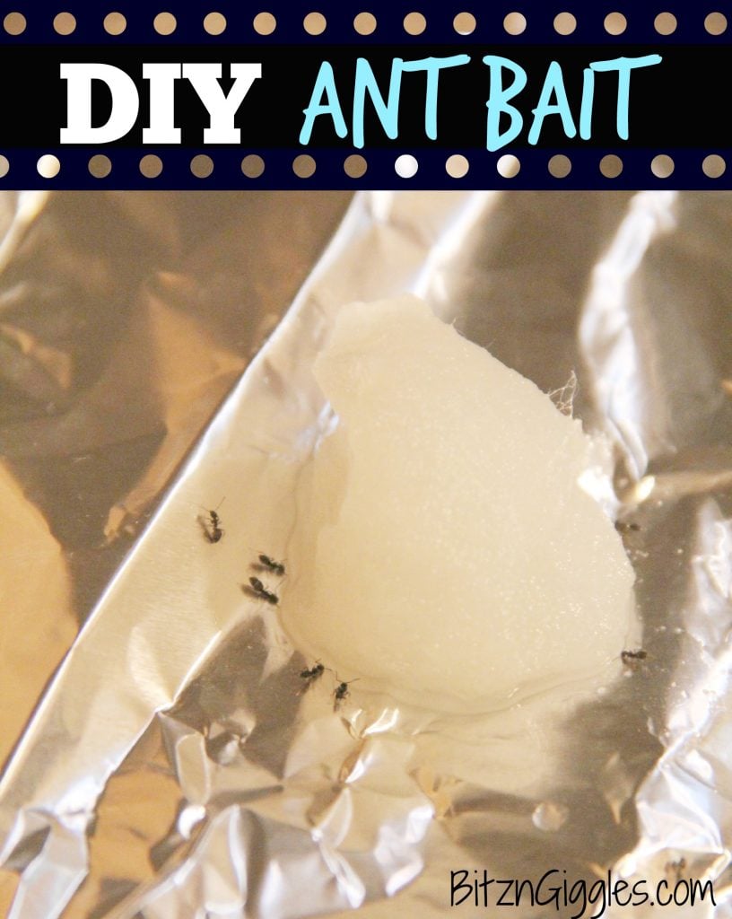 DIY Ant Bait - Bitz & Giggles