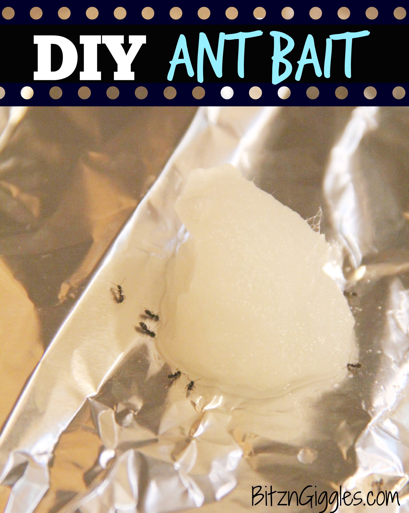 DIY Ant Bait