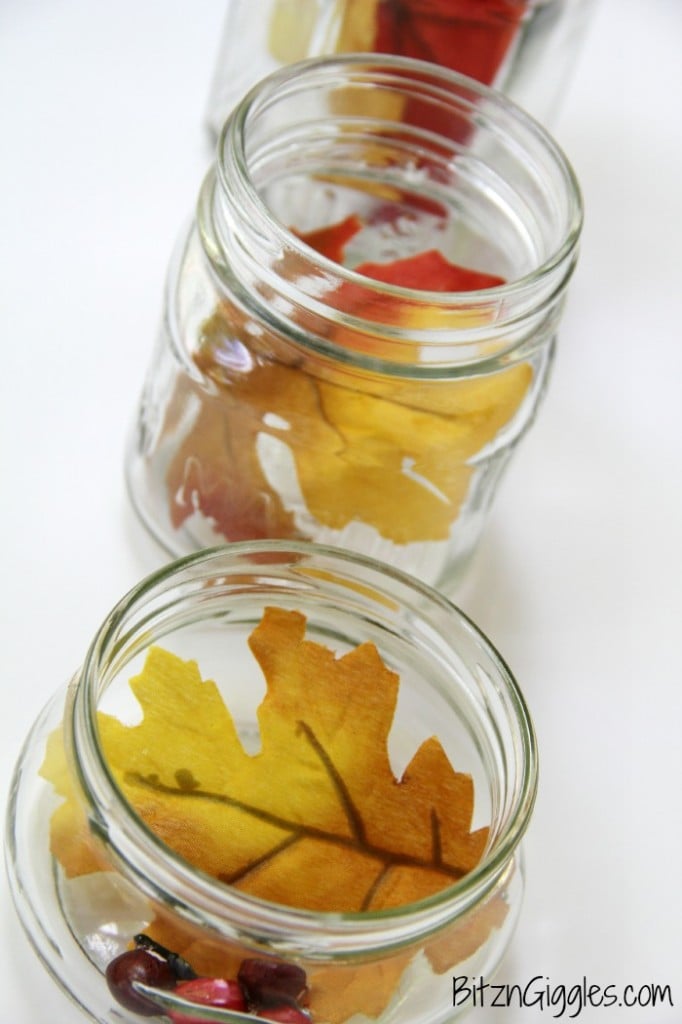 Leaves in jars