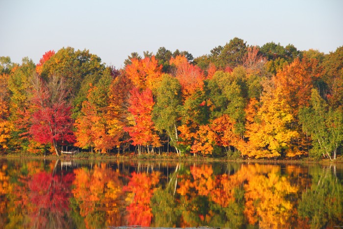 Fall colors at cabin