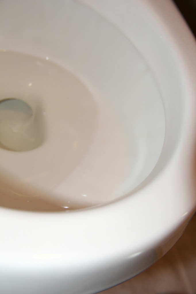 How to remove hard water stains from your toilet