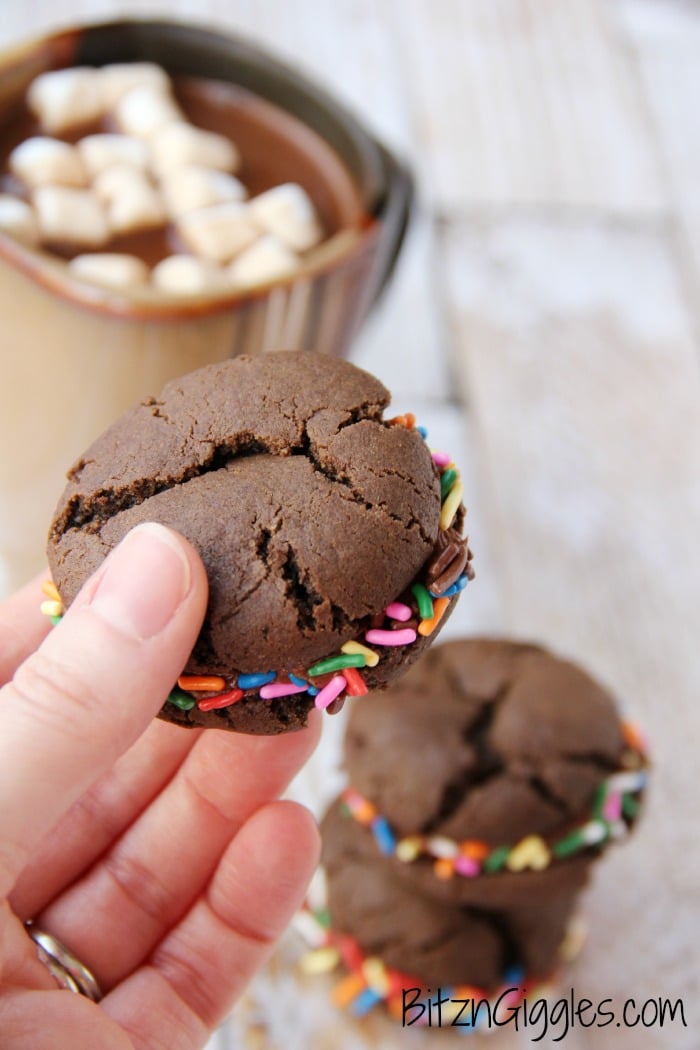 Cocoa Confetti Cookies