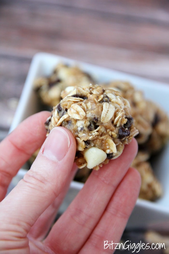 Peanut Butter & Chocolate Oat Bites