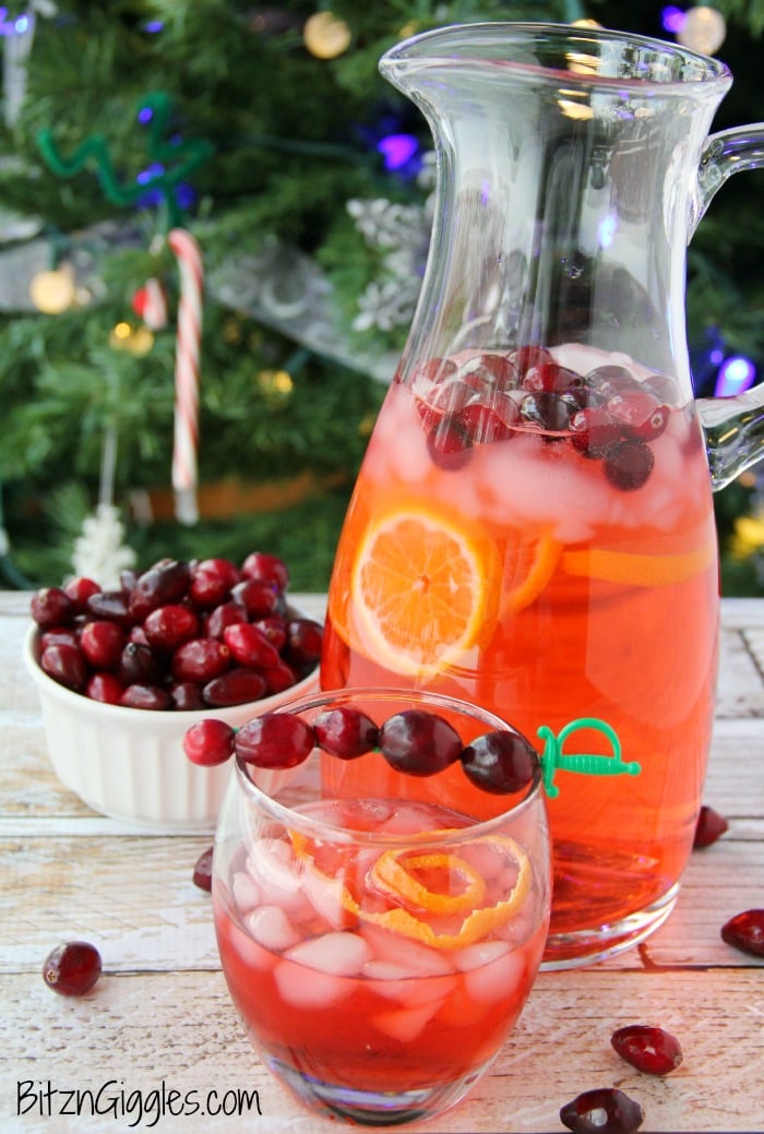 Cranberry Party Punch