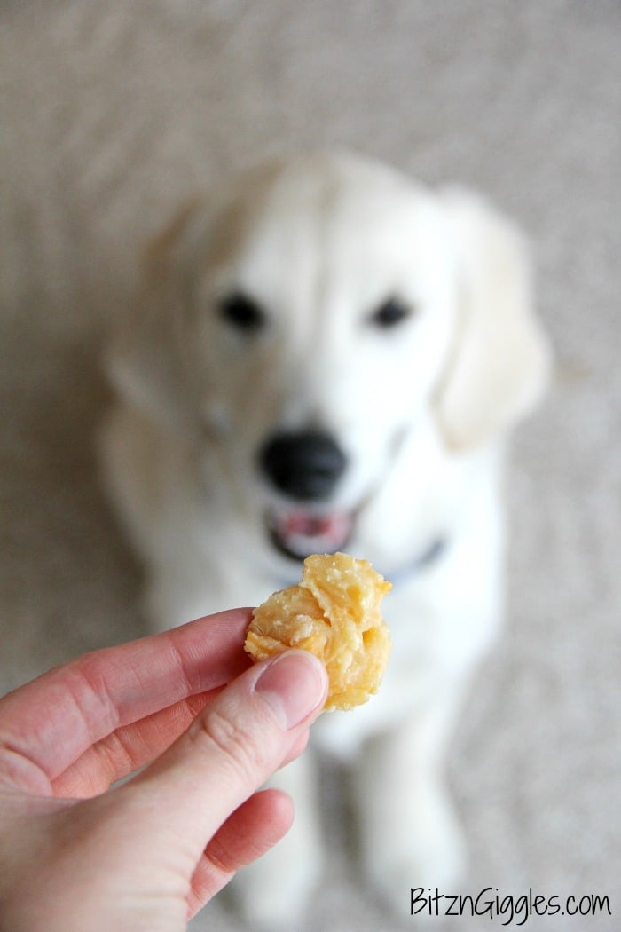 Chewy Cheddar Puppy Puffs