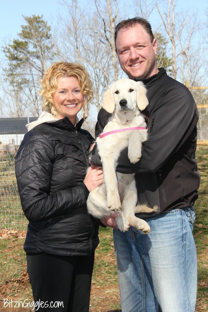 Potty Training Your Puppy - Tips and tricks to get your new furry friend to potty outside instead of inside!