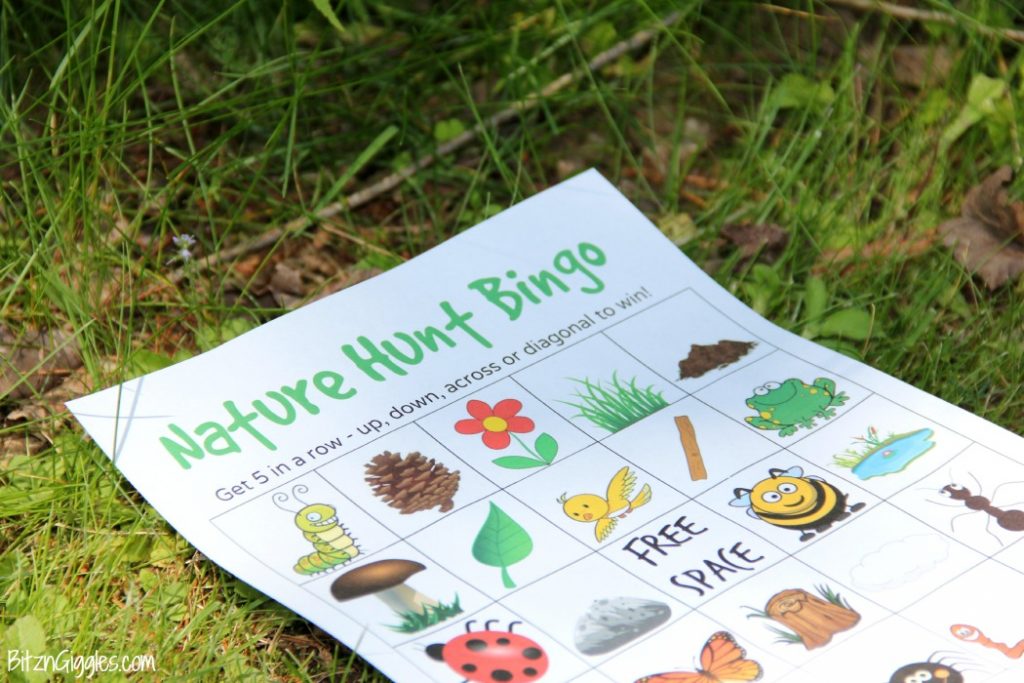 bingo nature
