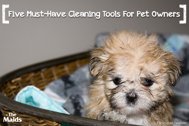 Five-Must-Have-Cleaning-Tools-For-Pet-Owners1