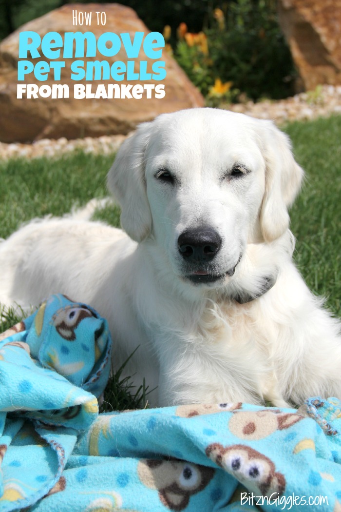 How to Remove Pet Smells From Blankets - Got a stinky blanket that you just can't seem to get the smell out of? This cleaning solution really works!