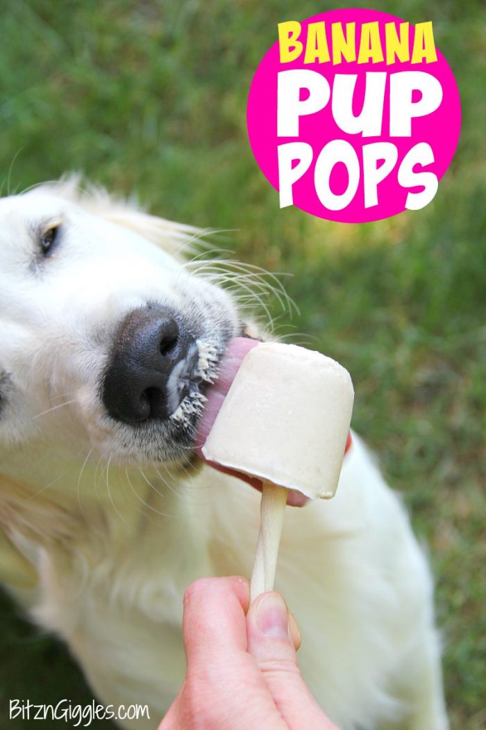 Banana Pup Pops | 17 Healthy Homemade Pet Food Recipes And Treats