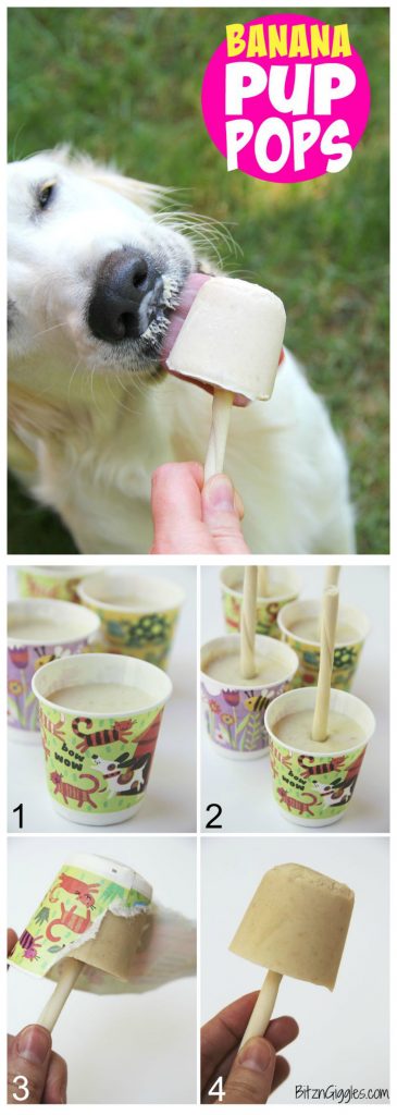 Banana Pup Pops - A creamy, homemade popsicle that your dog will love! Delicious and good for them too!