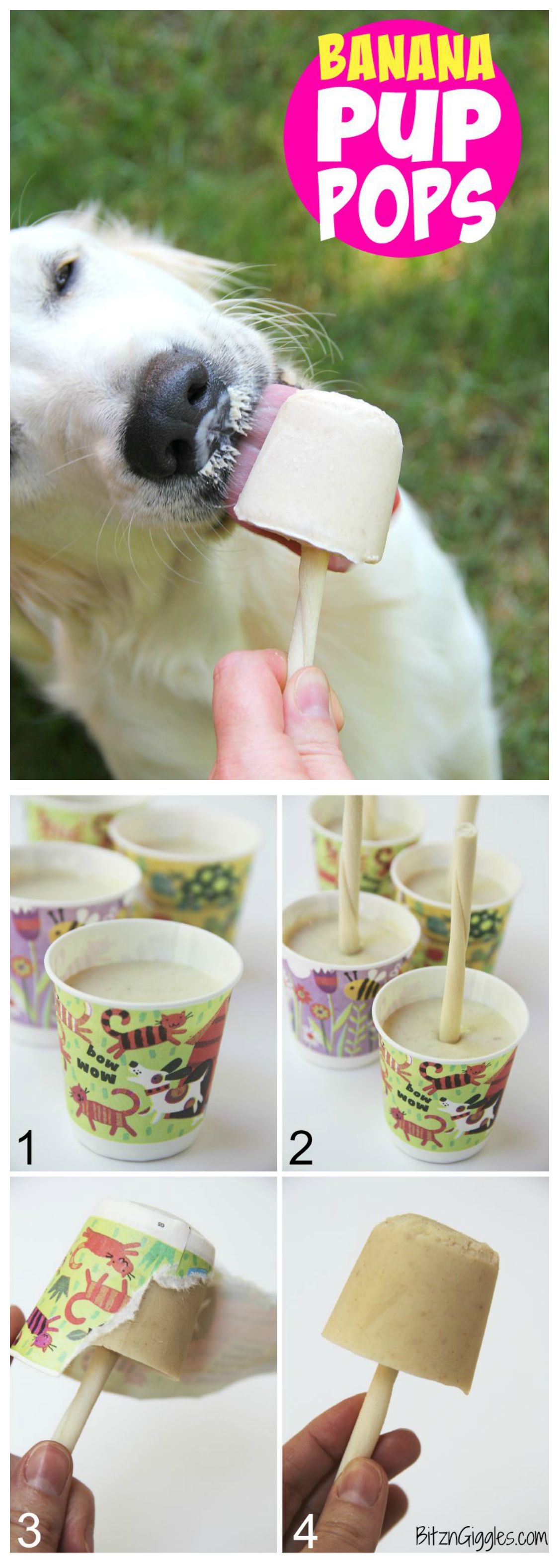 Banana Pup Pops - A delicious homemade creamy popsicle that your dog will love! Delicious and good for them too!