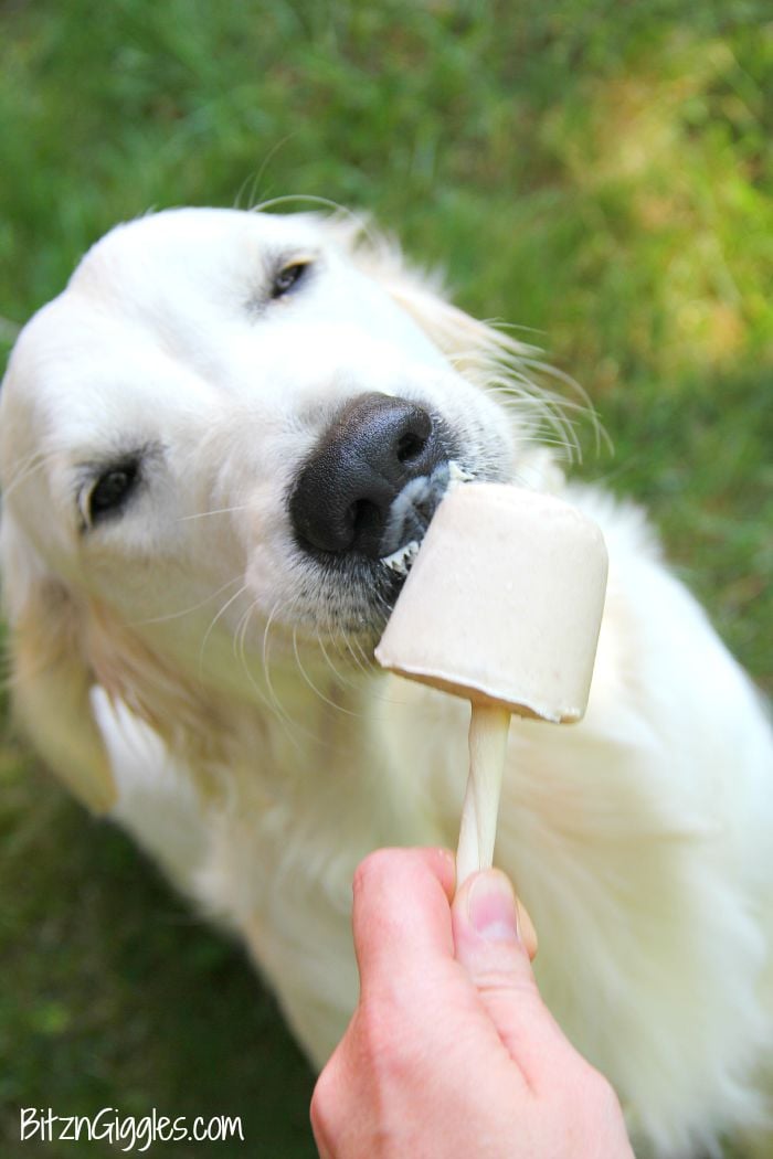 can dogs eat banana popsicles