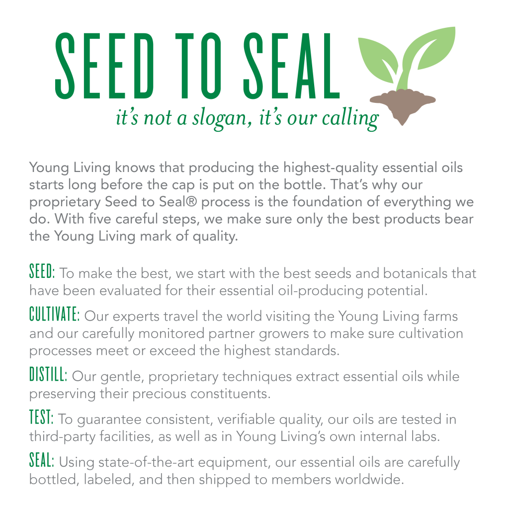 ylu-seed-to-seal-infographic-1024x1024