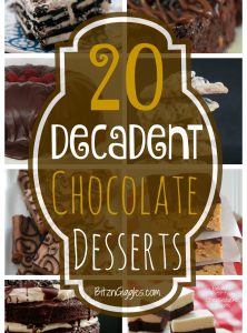 20 Decadent Chocolate Desserts - A collection of chocolate cakes, pies, cookies and bars that will make you drool! Which one will you make first?!
