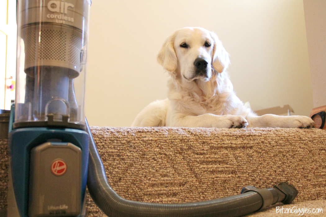 5 Reasons Why I Cut the Cord On My Vacuum - Abandoning my old vacuum for a Hoover cordless vacuum has changed the way I clean! It saves me time and headaches! Come on over and check it out!