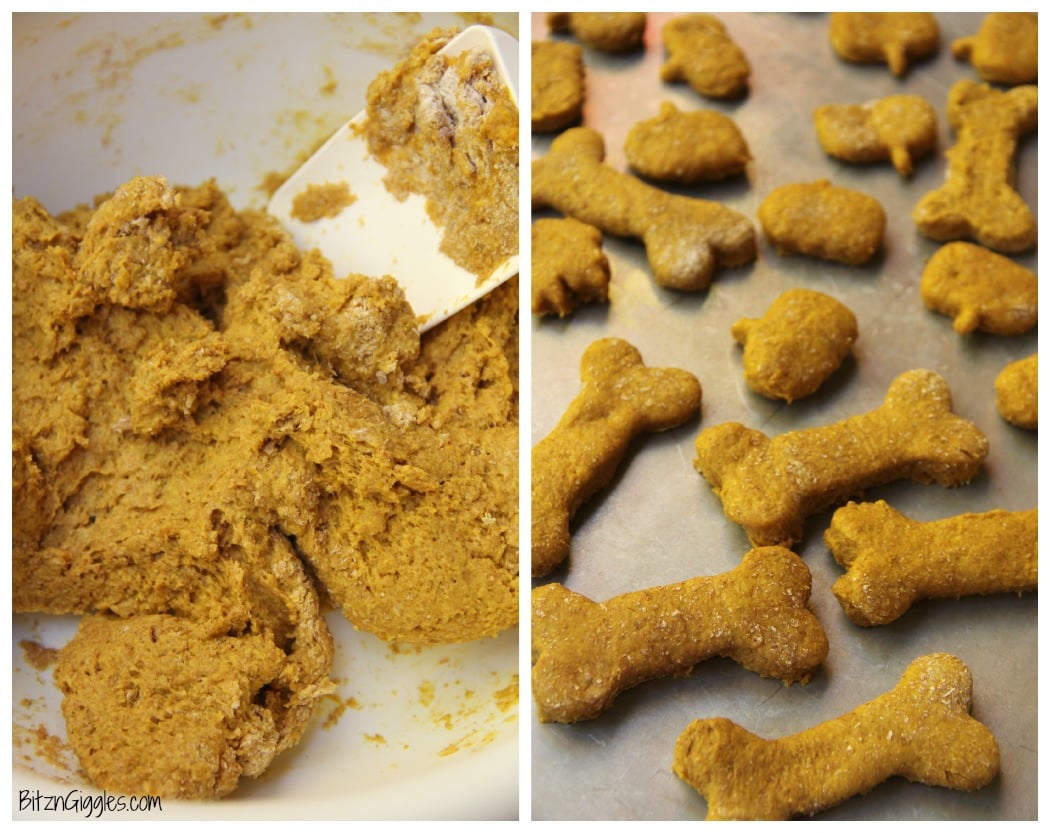 Peanut Butter Pumpkin Dog Treats - A crunchy treat made of pumpkin and peanut butter, perfect for your loving fur babies!