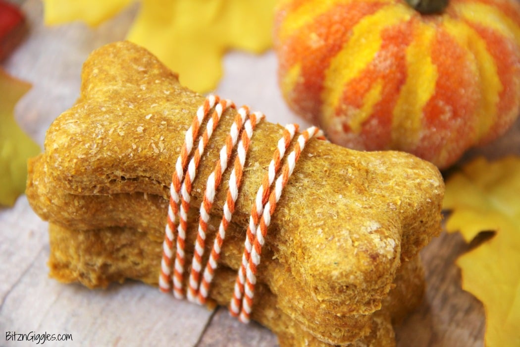 Peanut Butter Pumpkin Dog Treats - A crunchy treat made of pumpkin and peanut butter, perfect for your loving fur babies!