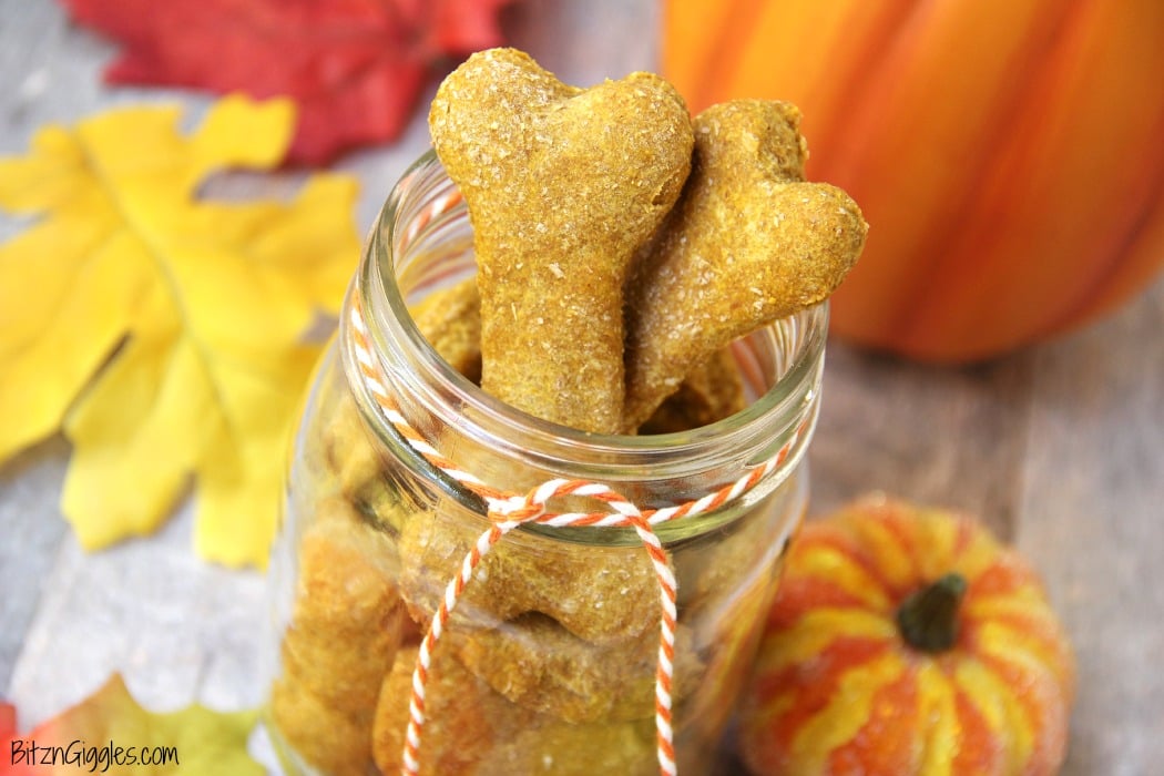 Peanut Butter Pumpkin Dog Treats - A crunchy treat made of pumpkin and peanut butter, perfect for your loving fur babies!