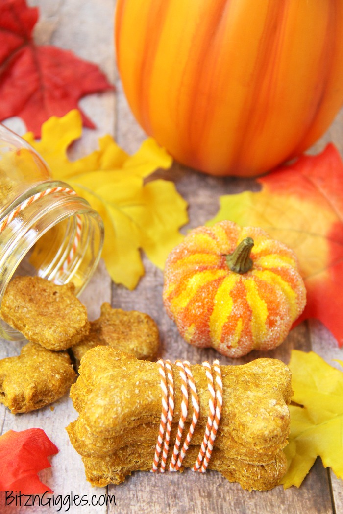 Peanut Butter Pumpkin Dog Treats - A crunchy treat made of pumpkin and peanut butter, perfect for your loving fur babies!