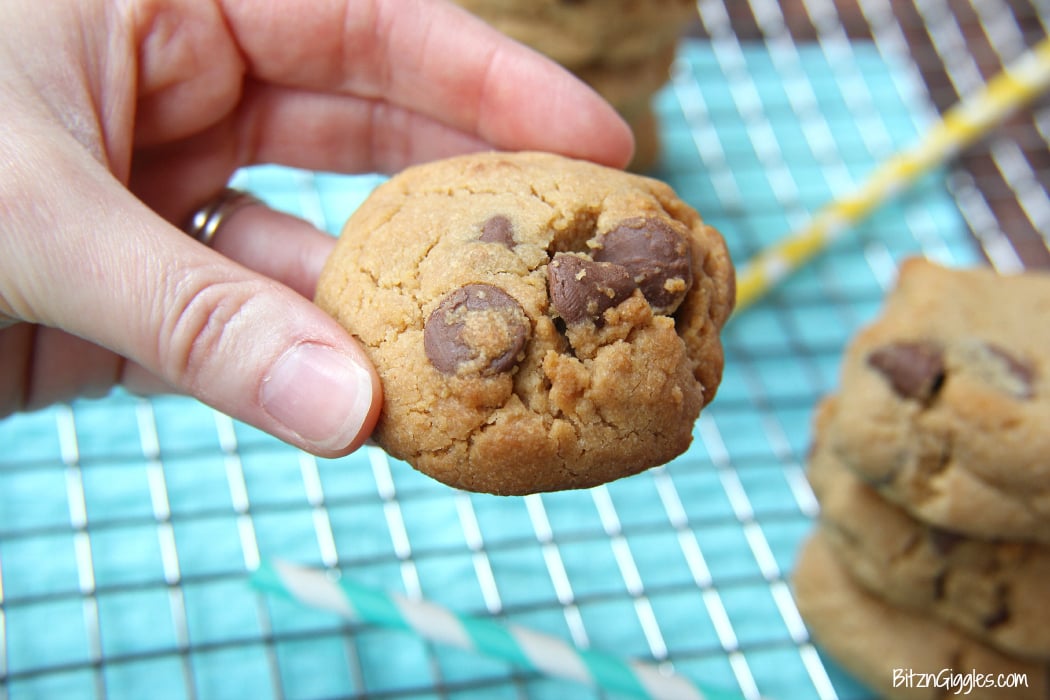 Chunky Dunks - Thick and chewy peanut butter and chocolate cookies perfect for milk dunking!