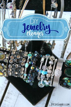 DIY Jewelry Cleaner - Bitz & Giggles