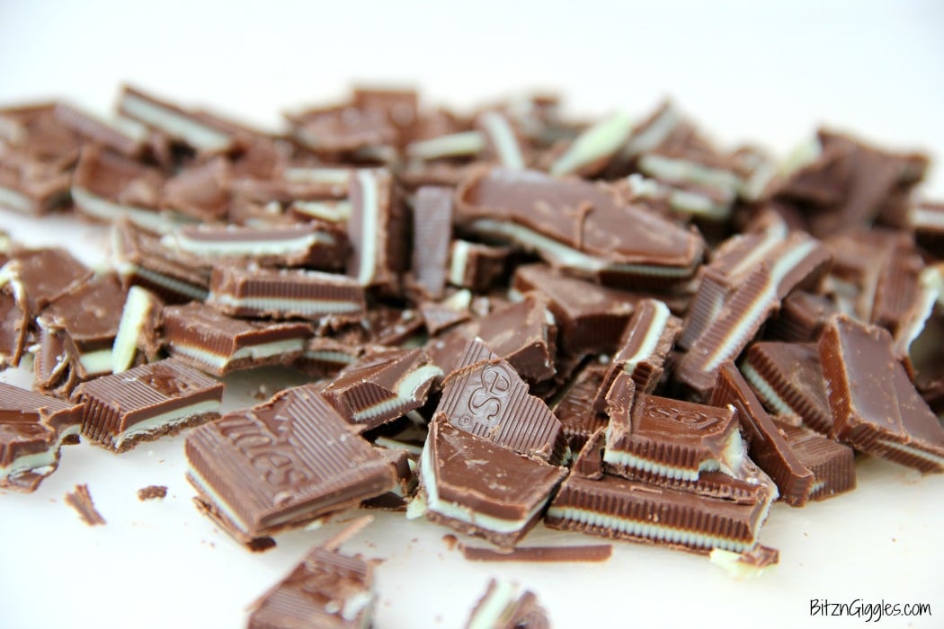 Soft and chewy chocolate fudge cookies with bits of melted Andes Mints sprinkled throughout.