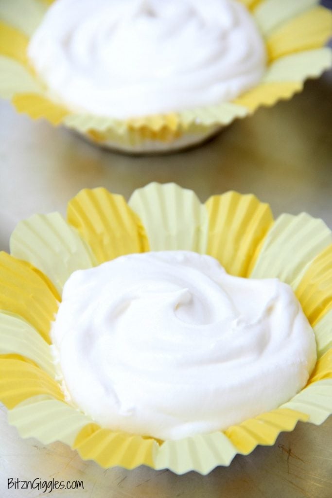 Vanilla Cheesecake Birds Nests - Mini vanilla cheesecake desserts with a wafer crust and creamy, dreamy filling. So light and delicious!