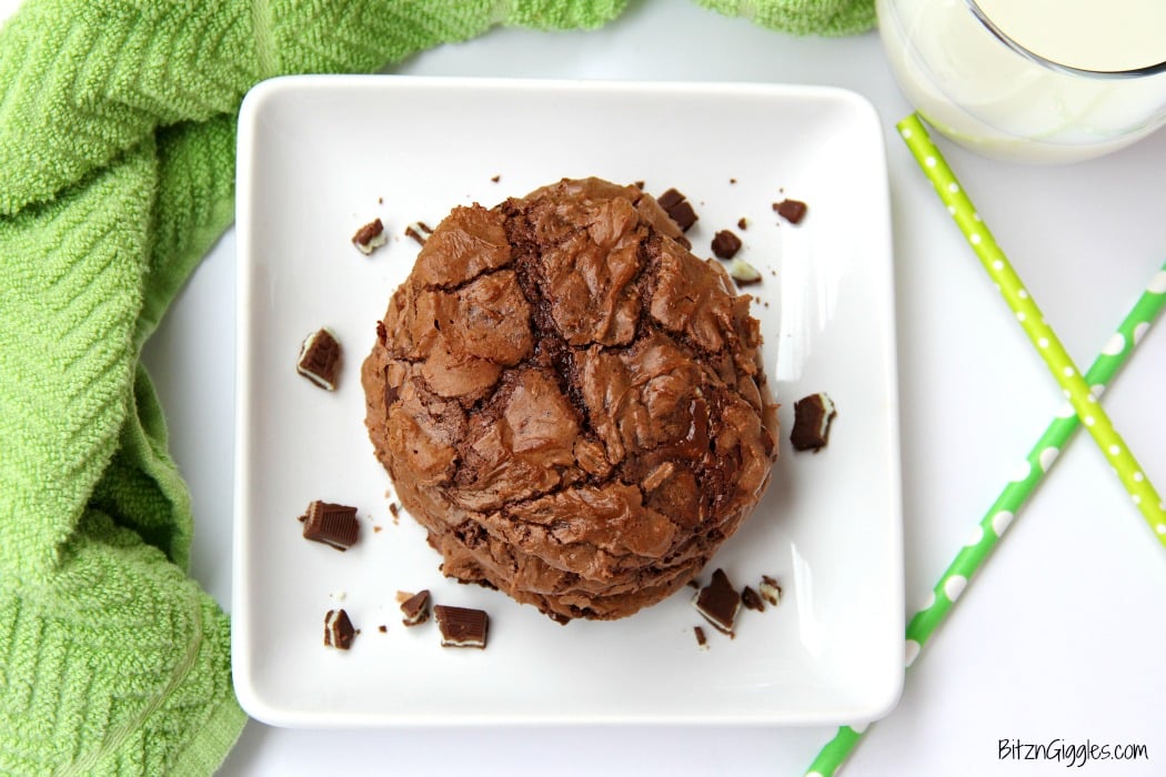 Soft and chewy chocolate fudge cookies with bits of melted Andes Mints sprinkled throughout.