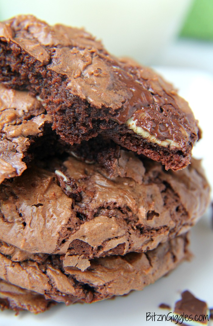 Soft and chewy chocolate fudge cookies with bits of melted Andes Mints sprinkled throughout.