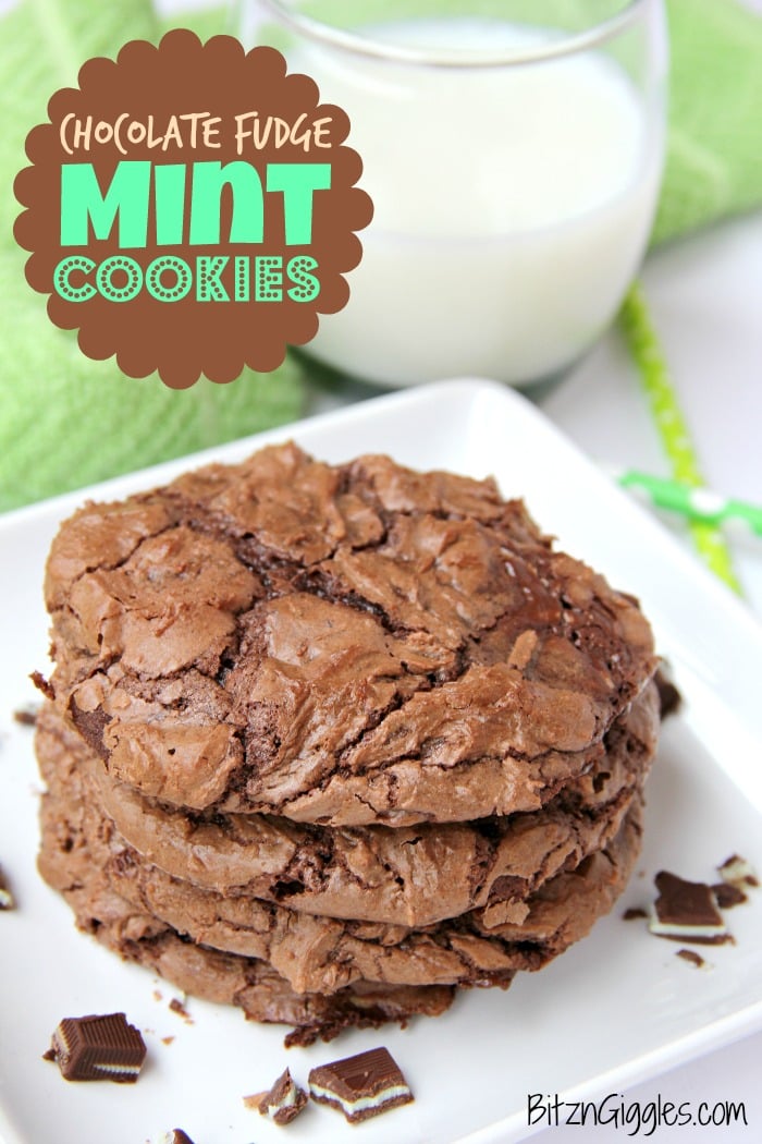 Soft and chewy chocolate fudge cookies with bits of melted Andes Mints sprinkled throughout.