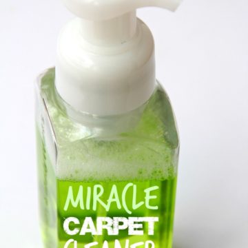 Miracle Carpet Cleaner - A homemade 4-Ingredient carpet cleaner that can get out the toughest of stains! Watch it in action by clicking through to the post!