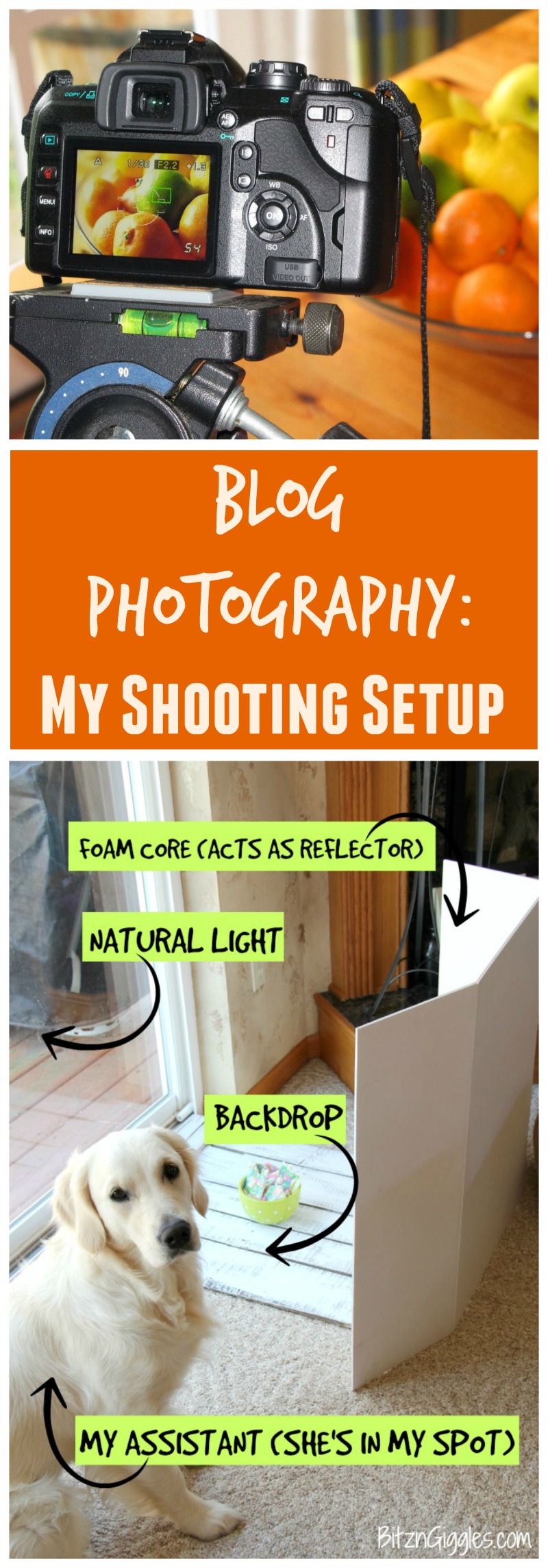 Blog Photography: My Shooting Setup - A behind-the-scenes look at how I shoot photos for my blog - my photography set-up, info on my camera and some of my favorite accessories!