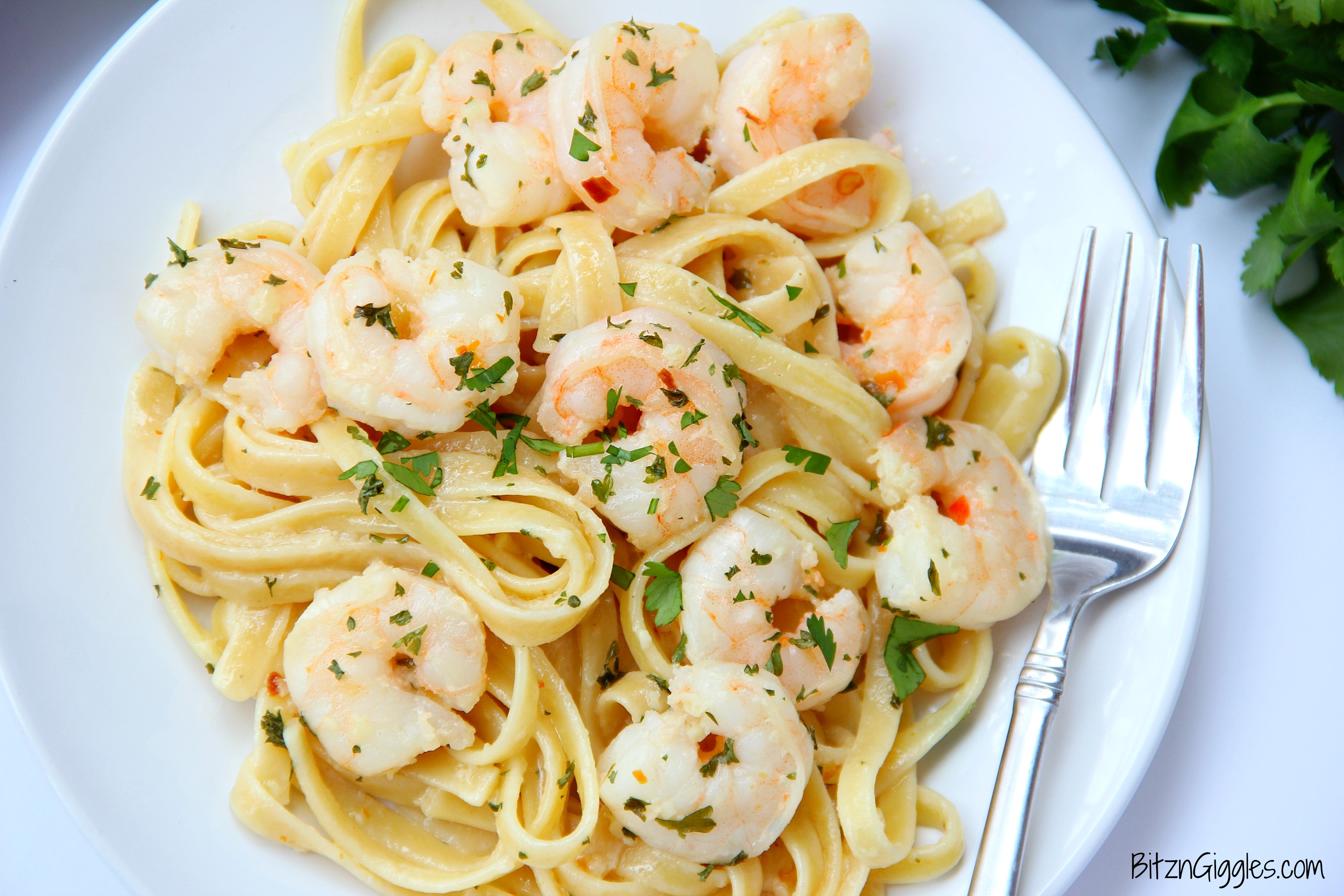 Lemon Garlic Fettuccine - lemon, garlic and red pepper flakes bring a punch of flavor to this quick and easy shrimp pasta recipe!