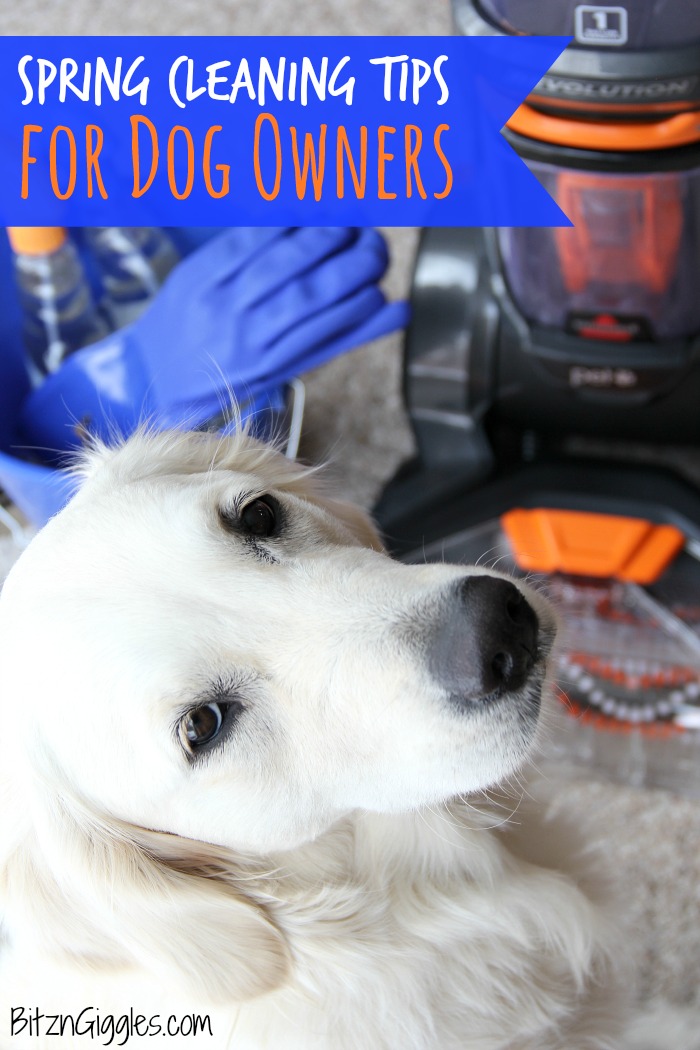 Spring Cleaning Tips for Dog Owners - Are you sure you thought of everything when it comes to cleaning this spring? Keep your home clean and your dog and family healthy with these important tips!