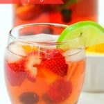 Berry Wine Spritzer - A delicious sparkling spritzer infused with fresh berries and citrus!