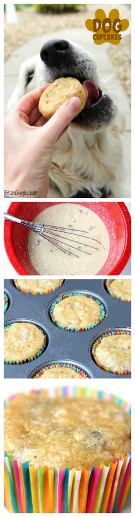 Dog Cupcakes - Easy Banana Oatmeal Cupcakes for Dogs! These pupcakes are perfect for your dog's birthday or even just those times you want to bake a special treat for your furry family member!