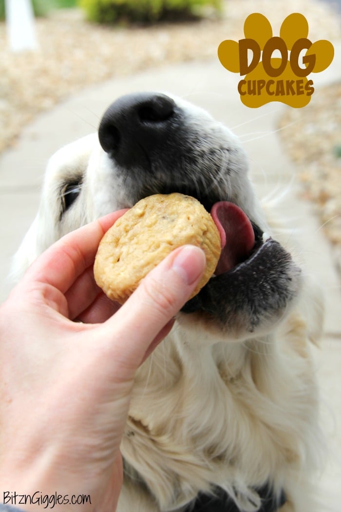 Easy Dog Cupcakes