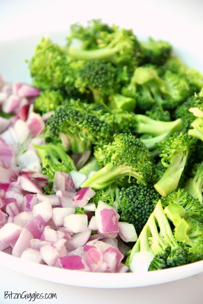 Cheddar Broccoli Pasta Salad - Broccoli, red onion, shredded cheese and rotini pasta tossed in a sweet, creamy dressing! Everyone always asks for seconds!