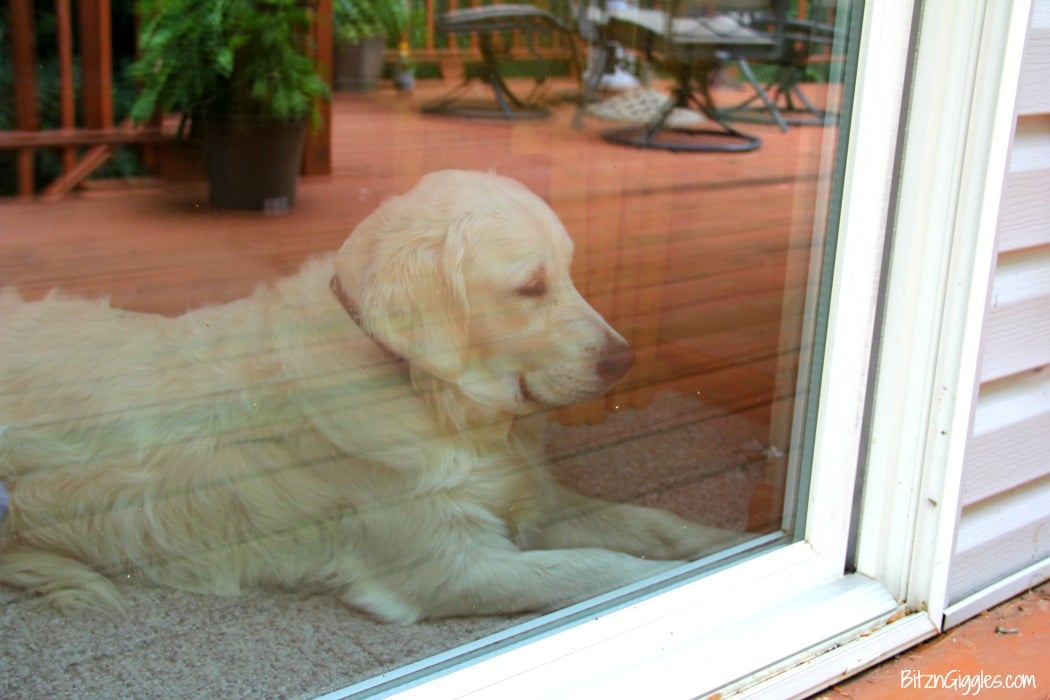 Heavy Duty Homemade Window Cleaner - a 3-ingredient window cleaner perfect for dirty outdoor windows and glass surfaces!