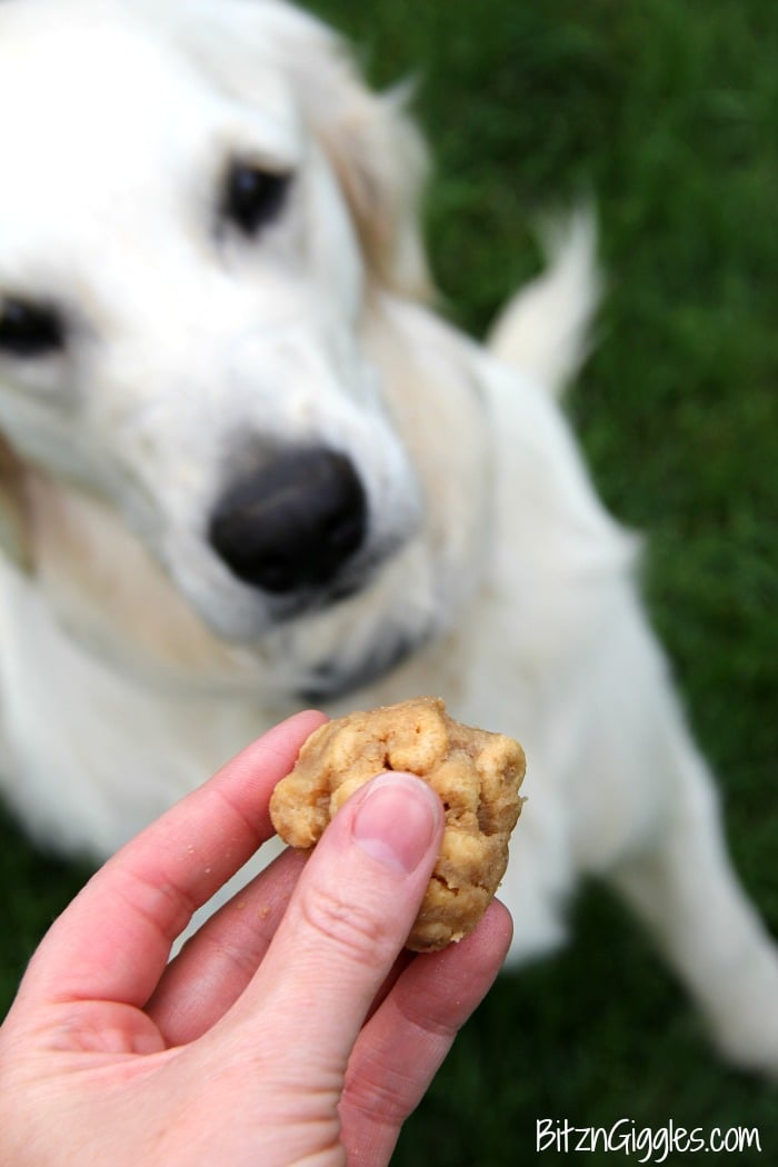 Cheerios as dog clearance treats