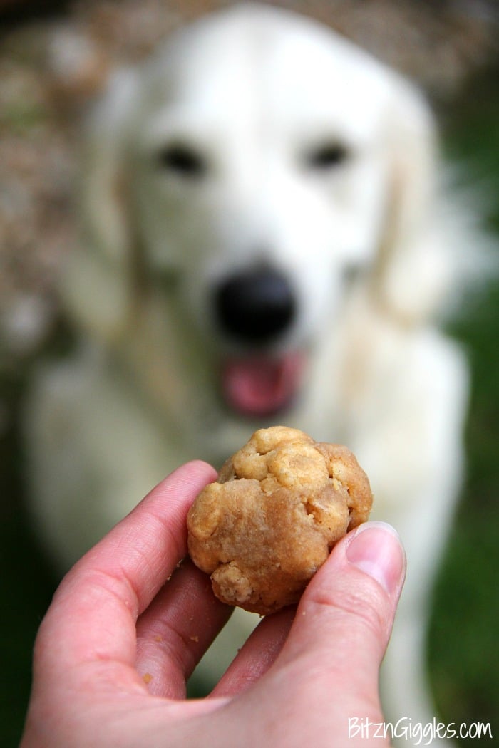 Cheerios as shop dog treats