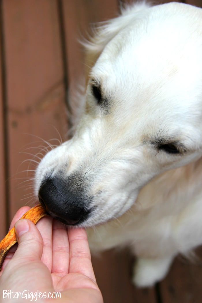 Chewy Sweet Potato Dog Treats - Homemade sweet potato treats your dog will do flips for!