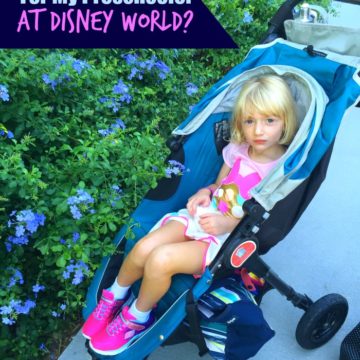 Do I Need a Stroller for My Preschooler at Disney World? - Make sure your trip to Disney World is a magical one with minimal crying and whining. Our stroller rental was a lifesaver at Disney World!