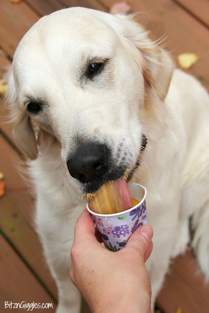 Pumpkin Pup Pops - These fun dog treats are made with only four ingredients! Your pup will love the peanut butter and pumpkin combination!